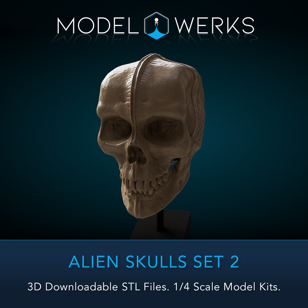 Alien Skulls Set 2 STL Download
