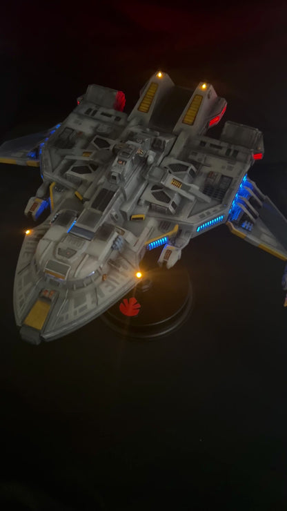 Maquis Raider Finished Model Kit